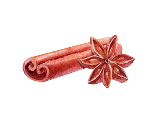 Set of watercolor cinnamon sticks and tea spices anise, on white background. Decorative element.