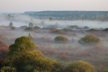 Obraz premium morning fog in the floodplain Belarus, the city VETKA, floodplain Sozh