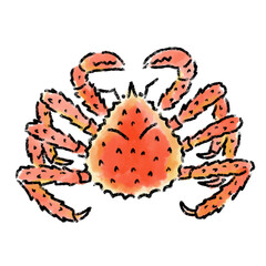 タラバガニ　水彩　手描き　素材

