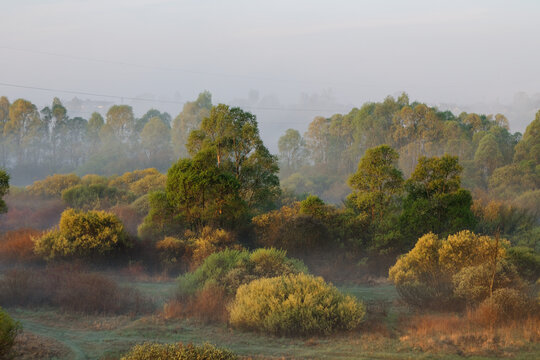morning fog in the floodplain Belarus, the city VETKA, floodplain Sozh