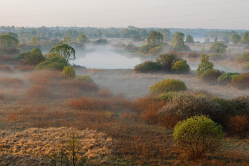 Obraz premium morning fog in the floodplain Belarus, the city VETKA, floodplain Sozh