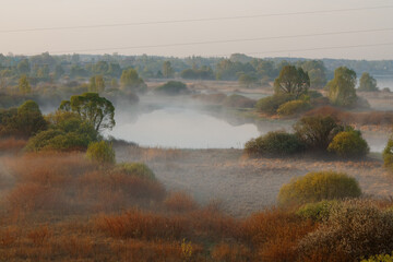 Obraz premium morning fog in the floodplain Belarus, the city VETKA, floodplain Sozh