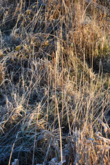 Fototapeta premium Beautiful Frosty Sunrise, Irish Landscape