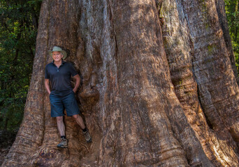 Huge Tree