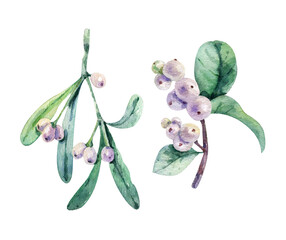 Watercolor snowberry and mistletoe set. Hand painted snowberry branch with white berry isolated on white background.