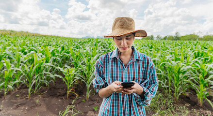 Portrait asian farmer woman using mobilephone in corn fields