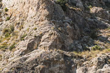 marble rock in nature