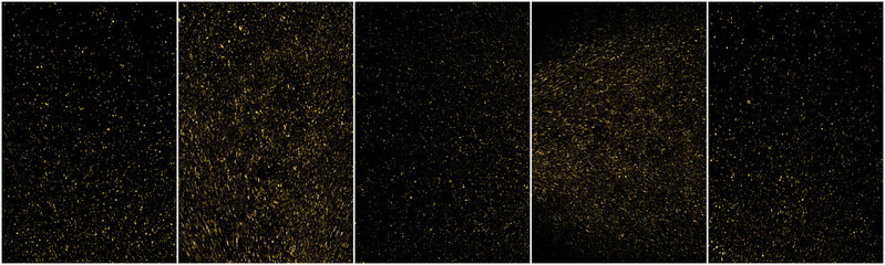 Set of Gold Glitter Texture Isolated on Black Background. Golden stardust. Amber Particles Color. Sparkles Rain. Vector Illustration, Eps 10. - obrazy, fototapety, plakaty