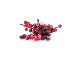 chinese laurel fruit on white background.