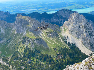 Zwei Raben fliegen in den Ammergauer Alpen mit dem Geiselstein-Gipfel rechts und dem...
