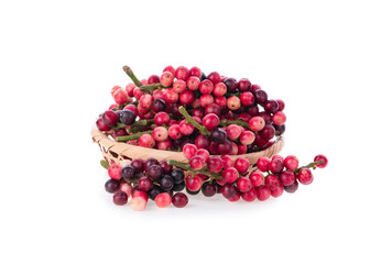 chinese laurel fruit on white background.
