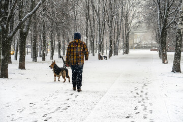 Fototapeta na wymiar A man walks in snowy weather on the Boulevard. Heavy snowfall, walking with the dog. Thick snow covered trees, streets, and people. Snow storm, Blizzard.in the city. People under thick large snowflake