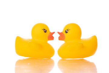 Two mini yellow rubber ducks turned to each other isolated on white background. Ducklings love, bath baby toy, funny kids game. Relationship, couple, Valentine's day postcard concept. Copy text space
