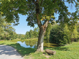 beautiful rural scene at a small pond