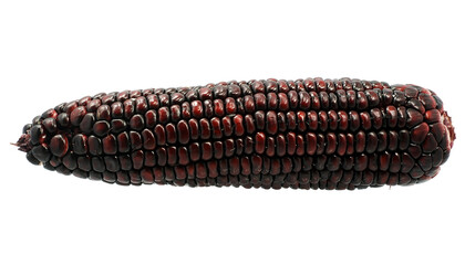 Black Corn isolated on white background