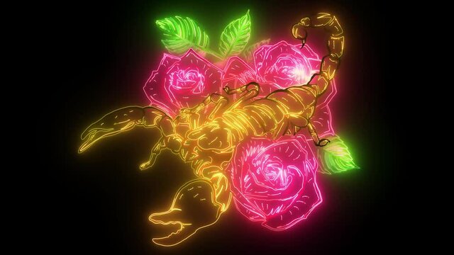 Scorpion and roses - color video