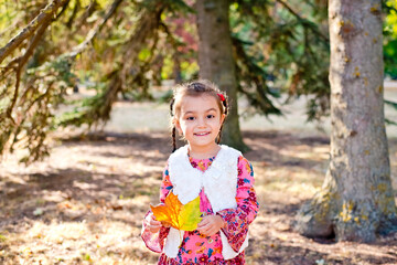 A little girl walks in the autumn forest with a beautiful yellow fallen leaf. A cheerful girl smiles and holds a large bright leaf from a tree.