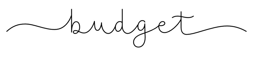 BUDGET black vector monoline calligraphy banner with swashes