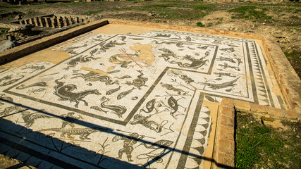 Muestra de mosaico de animales y cenefa adornando suelo de casa antigua