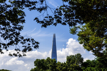 The beautiful and curious landscape of forest and clouds background blue sky at the park.