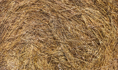Dry hay texture in yellow-brown color. Storing straw after harvest in the field, haystack. Nature background. Livestock feed and building material