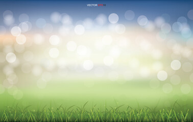 Fototapeta premium Green grass field with light blurred bokeh background. Vector.