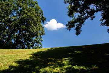 The beautiful and curious landscape of forest and clouds background blue sky at the park.