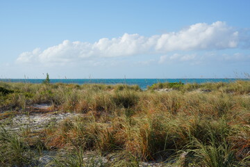 草の茂ったビーチと海と雲と空