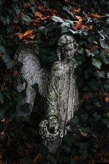 Fallen angel 