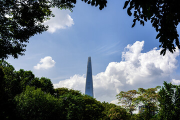 The beautiful and curious landscape of forest and clouds background blue sky at the park.