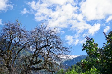 Bergblick