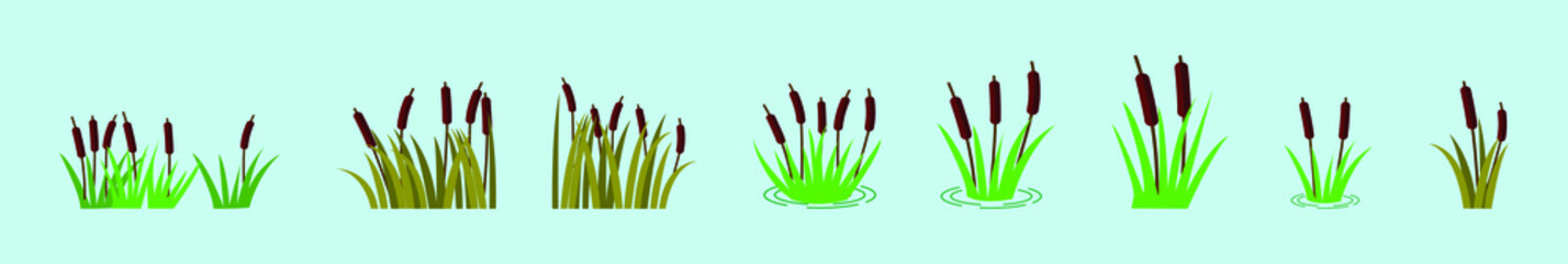 set of reeds in grass cartoon icon design template with various models. vector illustration isolated on blue background