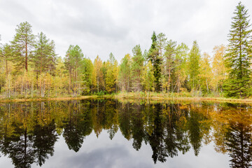 Fototapeta na wymiar Small autumn lake in the taiga of the Arkhangelsk region, northern Russia