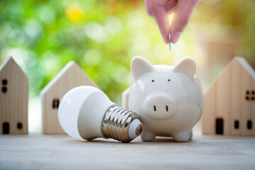 Hand putting coin in a piggy bank and light bulb in front of piggy bank and house wood for show...