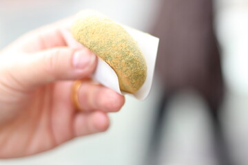 Close up of a red bean mochi (Japanese dumpling) is holding on hand, Nara, Japan, soft focus