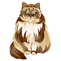 CAT, PET, 猫, キャット, ペット, イラスト, イラストレーション, 動物, 長い毛, 茶色