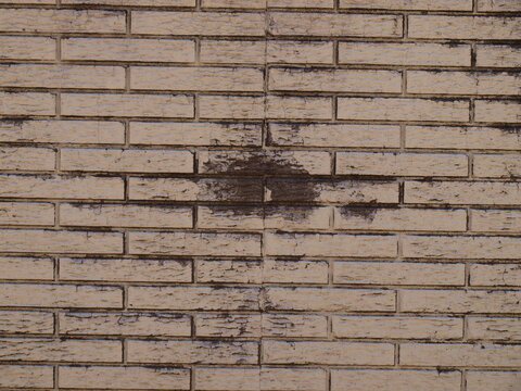 A Brick Wall On One Side Of An Alley . It Is The Difference Of Privacy Or View And Noise From A Busy Street Across From A College. The Texture Was Unusual. 