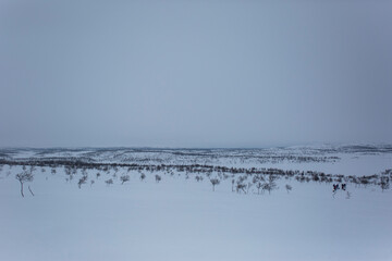 Winter landscape in Nuorgam, Lapland, Finland