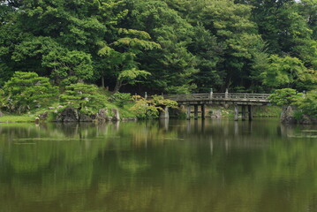 Fototapeta na wymiar 池にかかる木橋