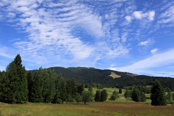 Fototapeta na wymiar Green and blue natural landscape of Folgaria upland