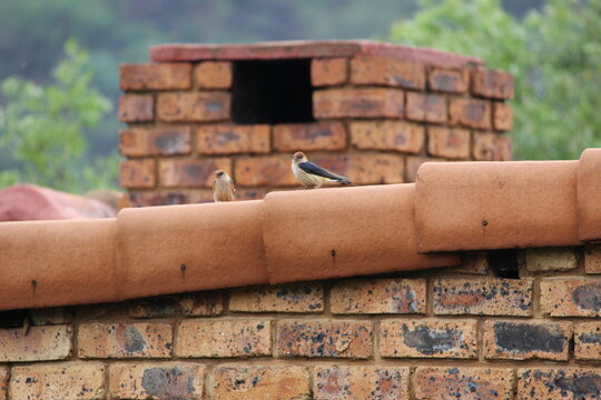 Photo taken in Olifants River Logde, Middelburg