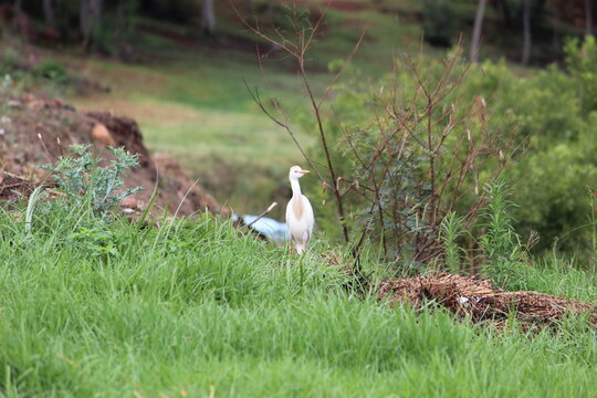 Photo taken in Olifants River Logde, Middelburg