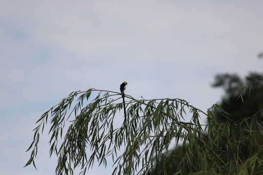 Photo taken in Olifants River Logde, Middelburg