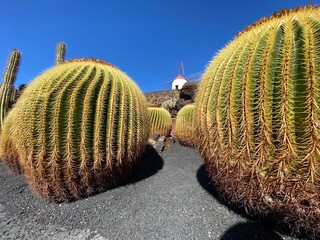Lanzarote