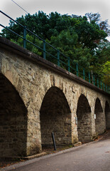 Fototapeta premium arcs in the forest 