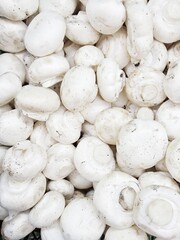 white mushrooms background