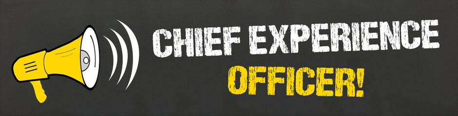 Chief Experience Officer! 