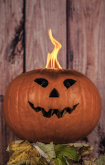 Obraz premium Kürbis Geschnitzt in Halloween-Fratze 