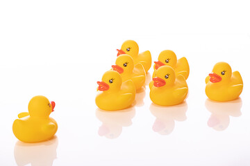 Command concept. One yellow rubber duck stand in front of wedge of ducklings isolated on white background. Dictator, ruler, big brother, captain, dependence, subordination, supervisor, instructor