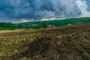 green field and sky